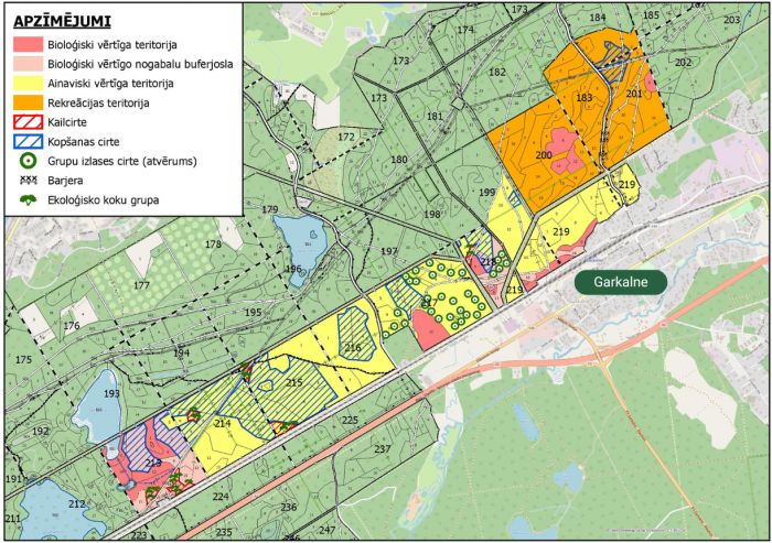 Attēls - "Rīgas meži"