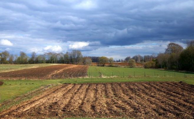 Foto - arhīvs