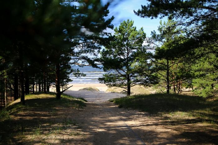 Foto - dabasparkspiejura.lv