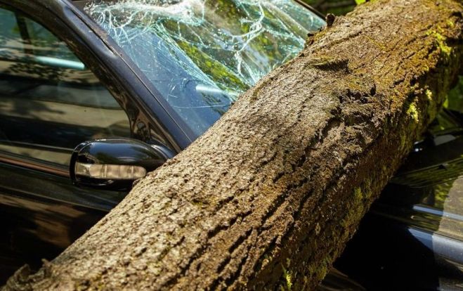 Attēlam ir ilustratīva nozīme. Foto - arhīvs