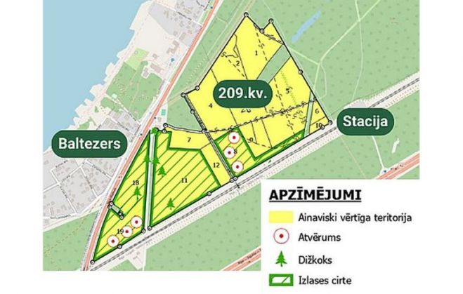 Ilustrācija - "Rīgas meži"