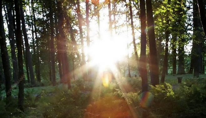 Foto - arhīvs