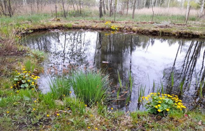 Foto - arhīvs