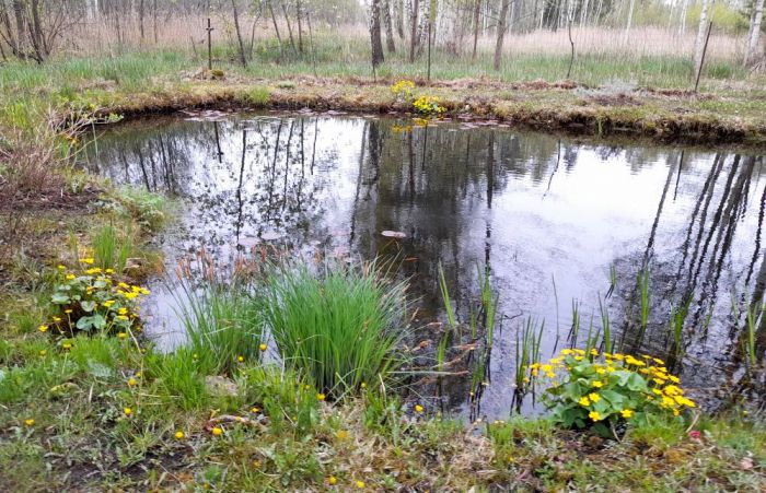 Foto - arhīvs