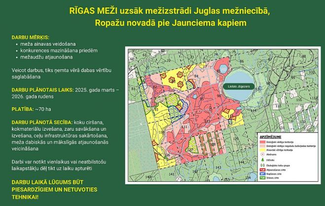 Ilustrācija - "Rīgas meži"
