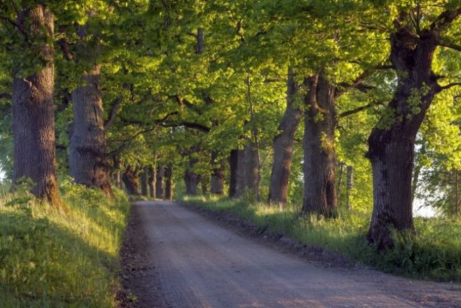 Jēdziens “ilgtspējīga attīstība” vienmēr liek pārdomāt tā saturu. Savukārt ilgtspējīgas attīstības rezultāts ir acīm redzams.