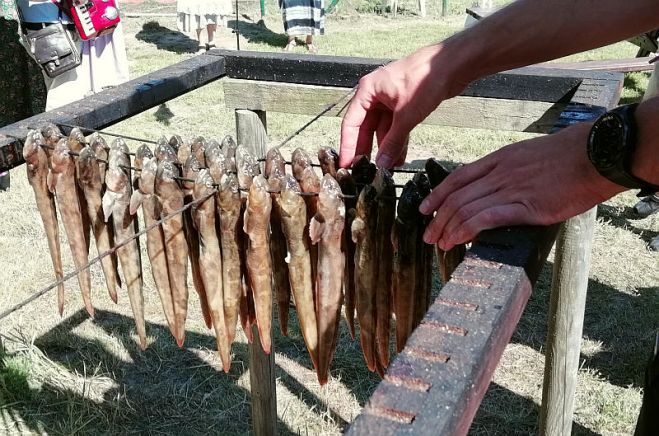 Luču svētku kodols – iespēja sekot līdzi visam luču sagatavošanas un kūpināšanas procesam klātienē, izstieptas rokas attālumā. Foto – Dzintris Kolāts