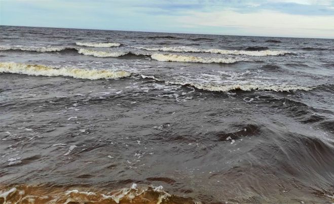 Foto - arhīvs