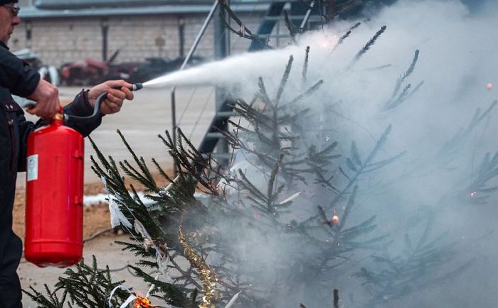 Foto - Valsts policija