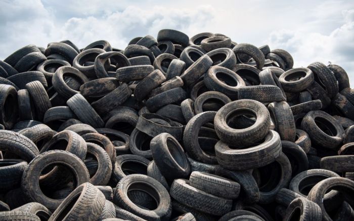 Foto - publicitātes