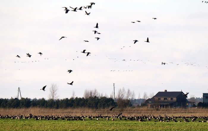 Foto - arhīvs