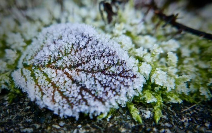 Foto - pexels.com