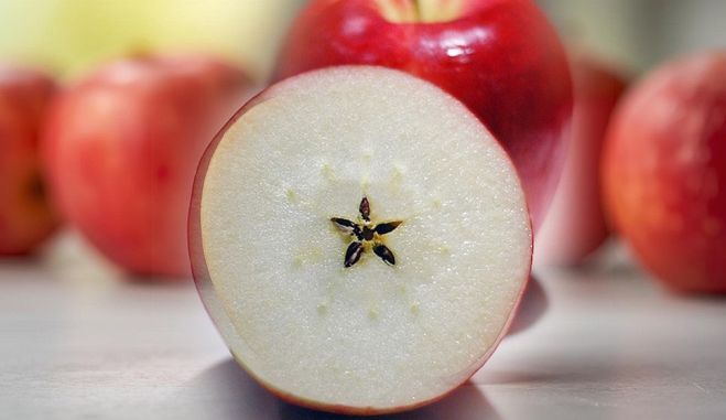 9.XII Nodarbība "Mantotie kultūraugi un ziemas dziesmas" Ādažos