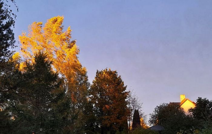 Foto - arhīvs