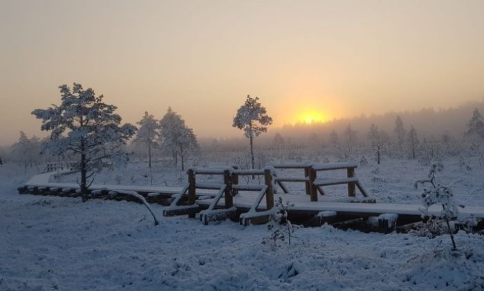 "Lielajos Kangaros" pieejama jaunā pastaigu taka un skatu tornis