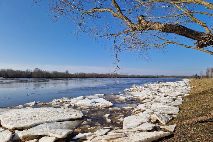 Daugavas augštecē Jersikas, Nīcgales, Līksnas apkaimē Daugavas ūdeņi rāmi, rāmi turpina tecējumu. Vien krastos februāra ledus krāvumi spīguļo marta saulītē. Foto - Džineta Dimante 