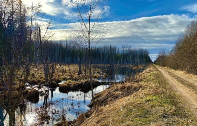 Foto – no Lauras Mašnovskas privātā arhīva
