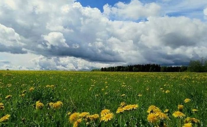 Foto - arhīvs