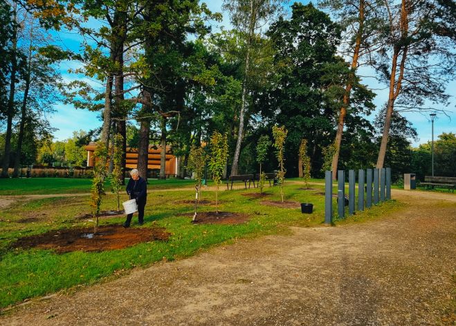Foto: Saulkrastu Neibādes parkā turpinās labiekārtošana