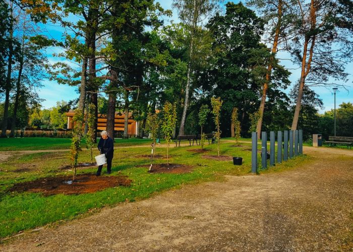 Foto: Saulkrastu Neibādes parkā turpinās labiekārtošana