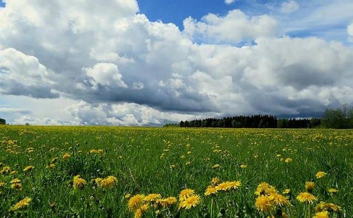 Foto - Vija Vāvere