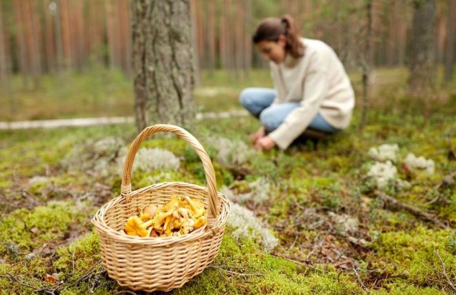 Foto - arhīvs, infografika - VUGD