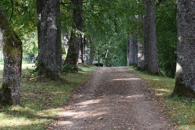 21.XI Seminārs &quot;Parku apsaimniekošana un bioloģiskā daudzveidība&quot; Siguldā