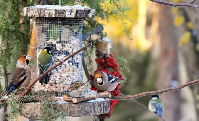 Foto – Selga Bērziņa