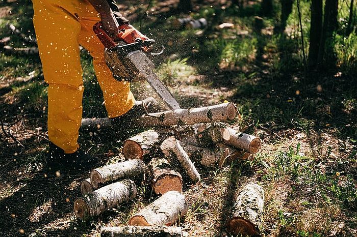 Foto - pexels.com