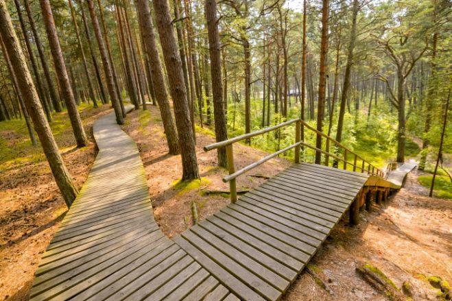 Dabas parks &quot;Ragakāpa&quot;. Foto: www.jurmala.lv