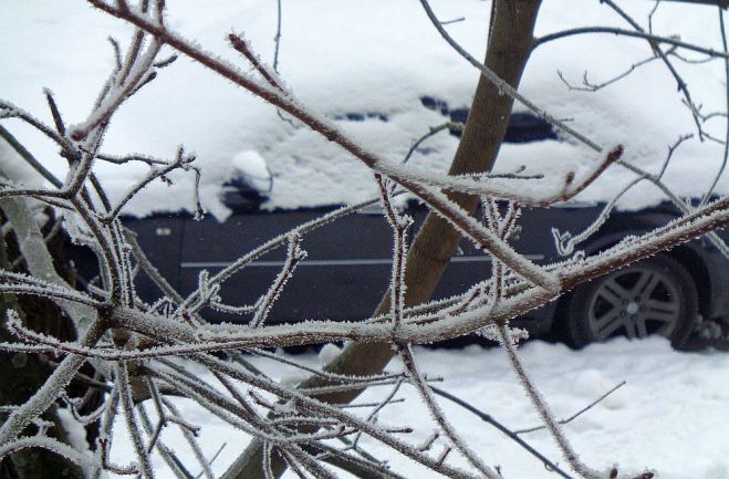 Foto - arhīvs