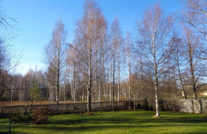 Foto - arhīvs