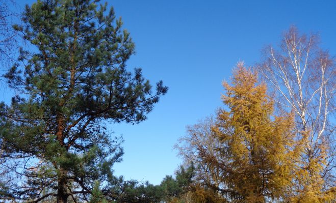 Foto - arhīvs