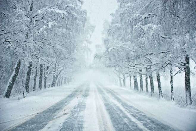 Foto – "Latvijas Valsts ceļi" un Liene Ozola