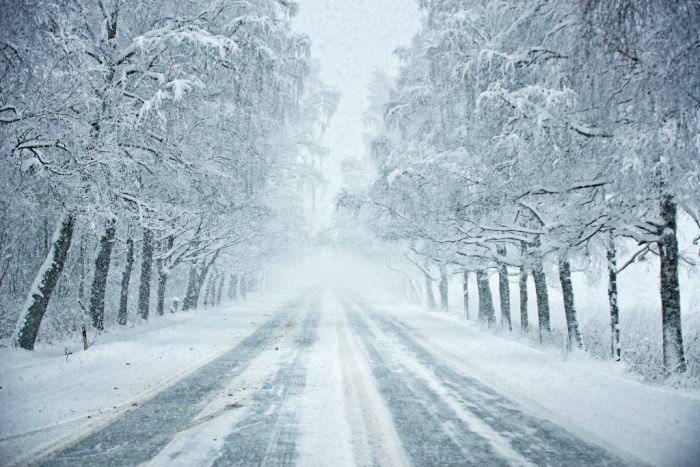 Foto – "Latvijas Valsts ceļi" un Liene Ozola