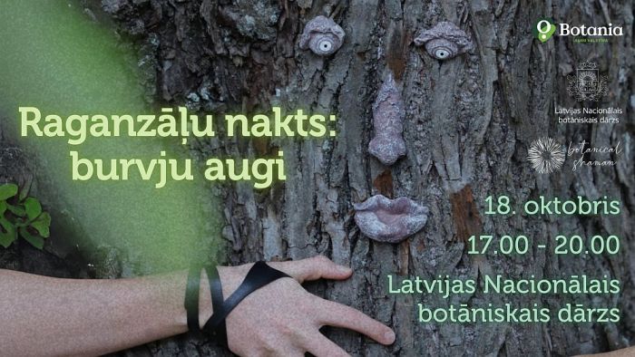 18.X Raganzāļu nakts: burvju augi Salaspilī