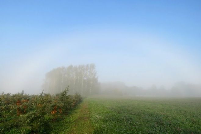 Foto: Miglainie rīti un rudens veltes