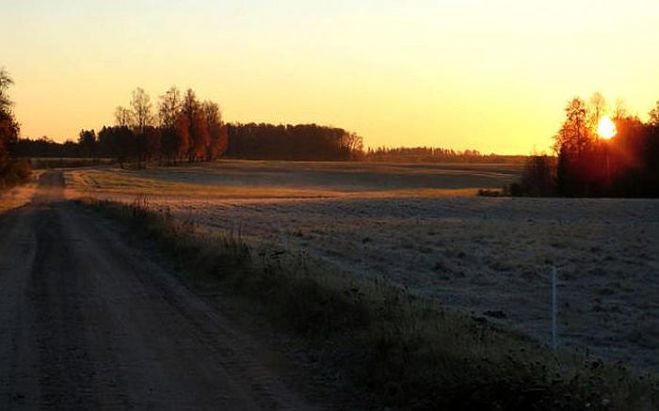 Foto - Vija Vāvere