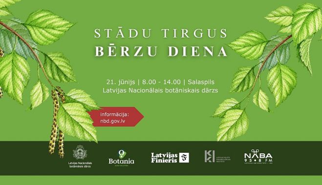 21.VI Stādu tirgus un Bērzu diena Salaspilī