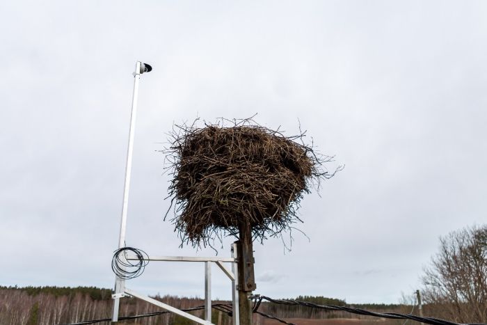 Foto – AS "Sadales tīkls"