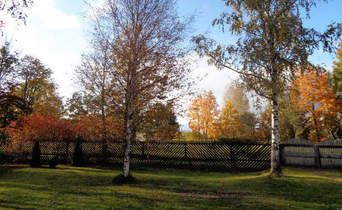 Foto - arhīvs
