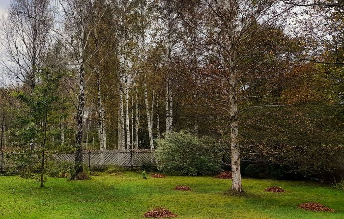 Foto - arhīvs