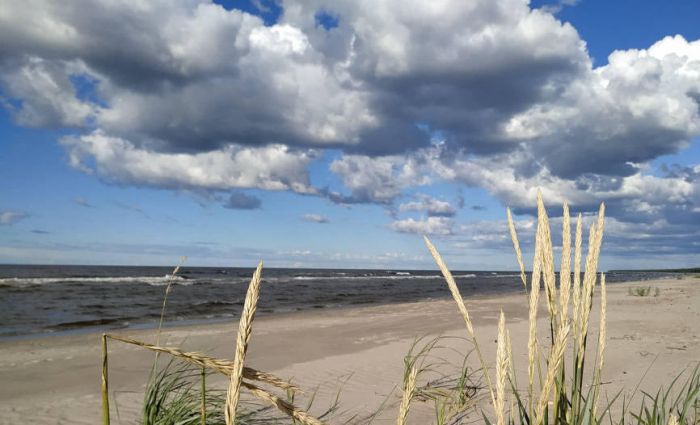 Foto - arhīvs