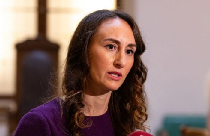 Foto - Reinis Inkēns, Saeima