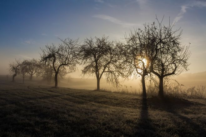 Šī gada novembris bijis ceturtais sausākais novērojumu vēsturē