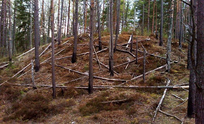 Foto - arhīvs