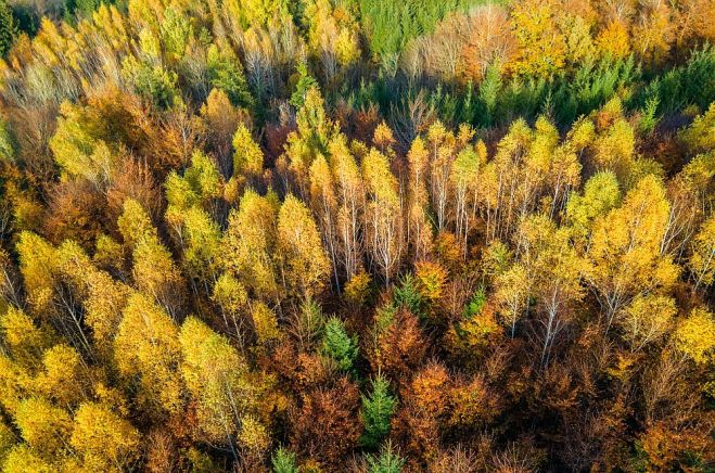 Foto - publicitātes