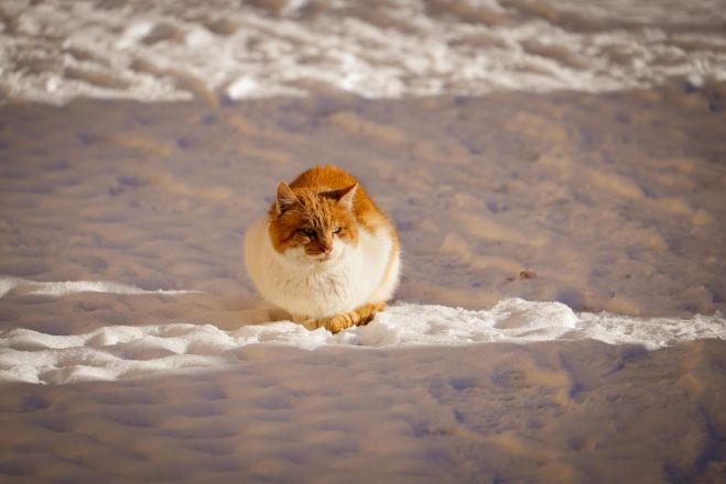 Foto: www.pexels.com