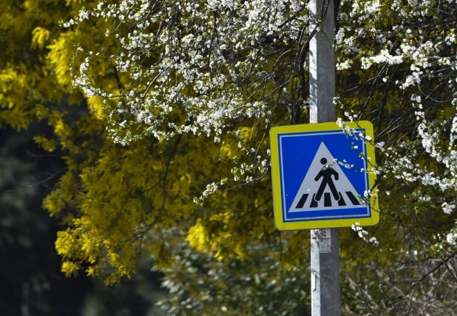 Foto - www.pexels.com