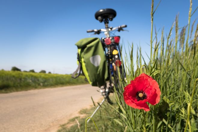 25.VII Veloekskursija pa Olaines novadu